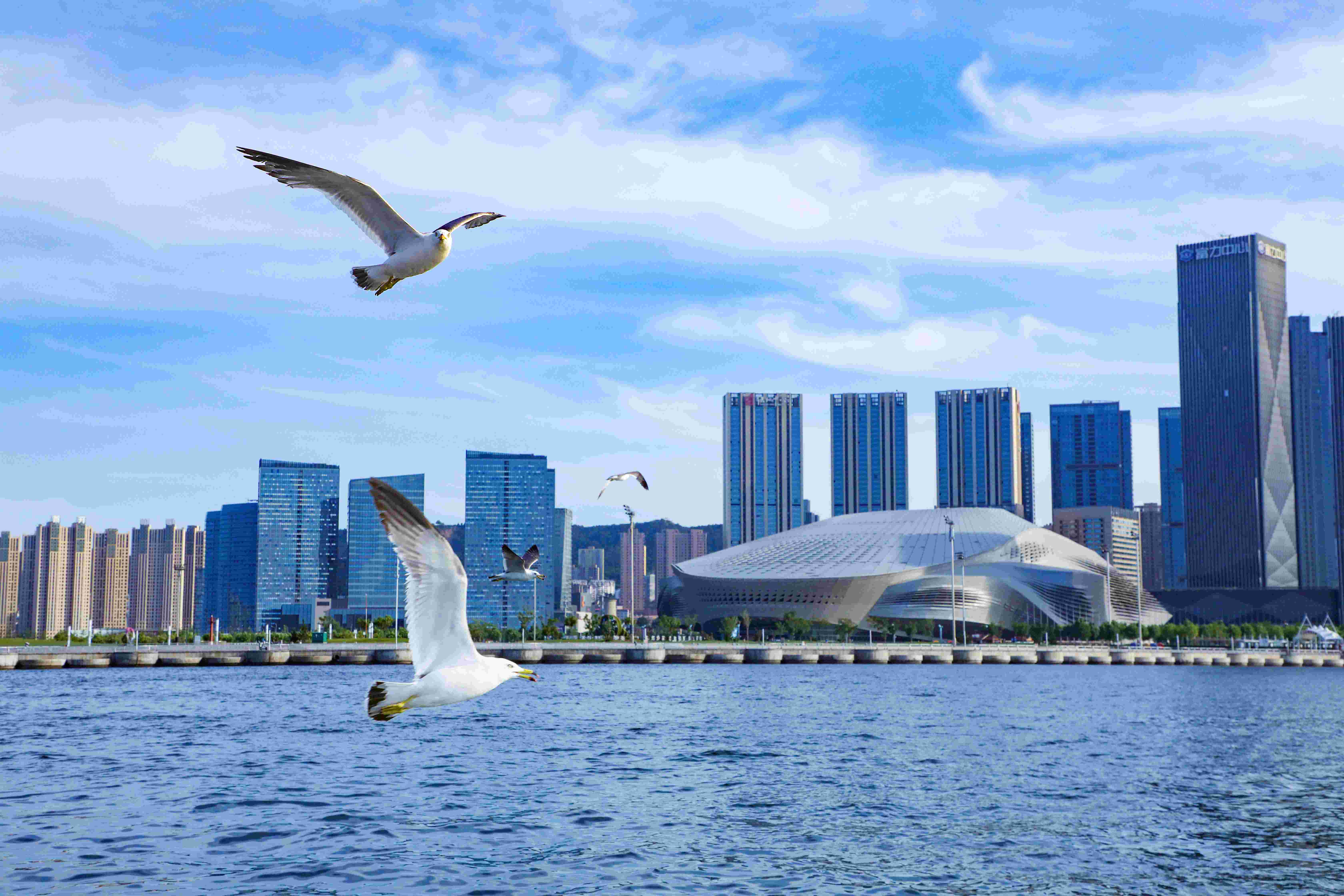 ���ѻ� ��(�й���)���޹�˾����