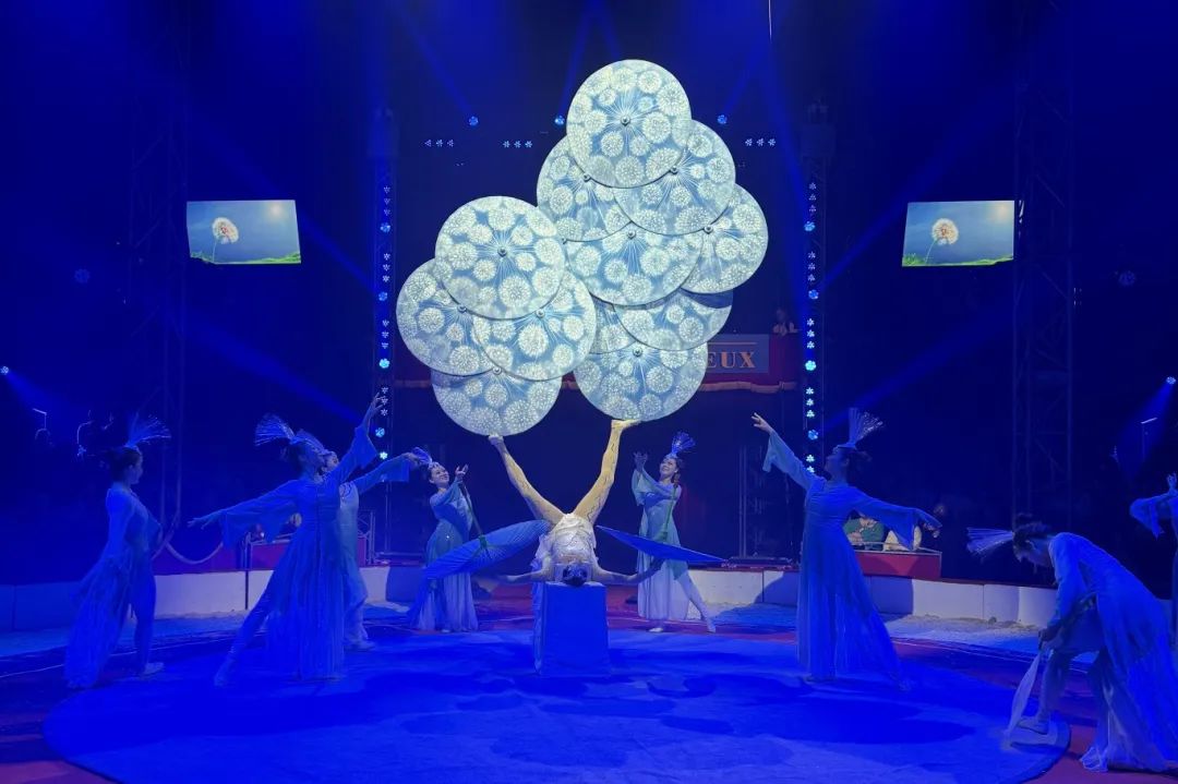 ���ѻ� ��(�й���)���޹�˾����